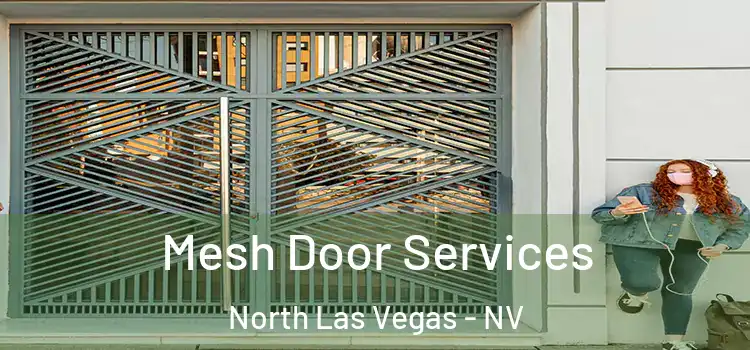 Mesh Door Services North Las Vegas - NV